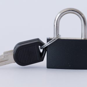 43mm heavy duty padlock with plastic coating – rust resistant steel lock for indoor & outdoor use | secure key lock for doors, gates, lockers & cabinets